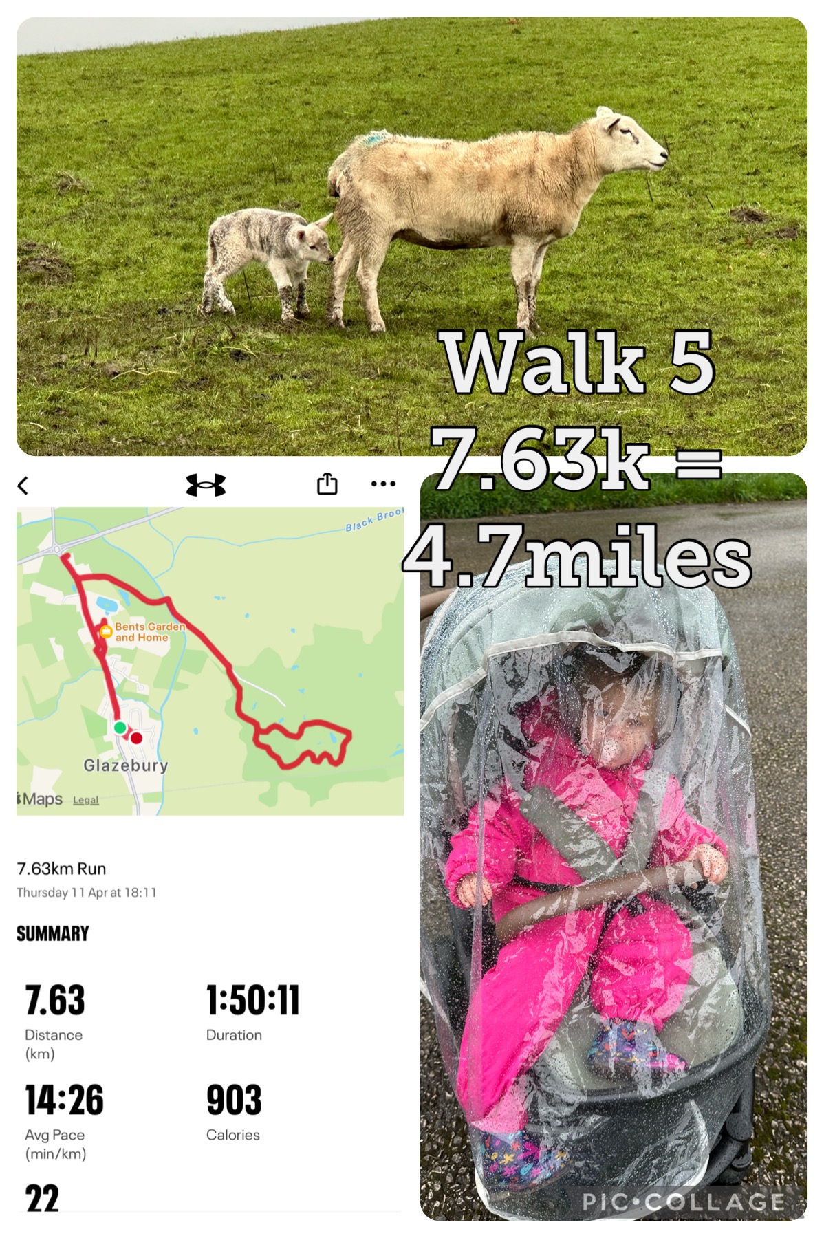 5th walk completed